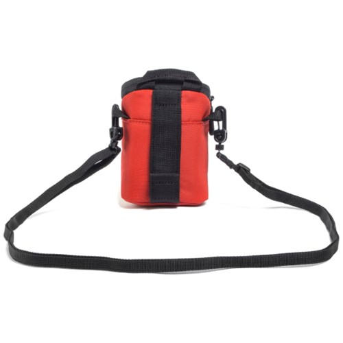 Triple a discount camera pouch 100