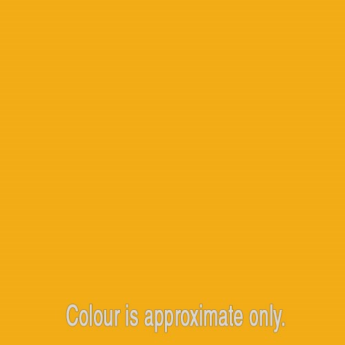 14_forsythia_yellow