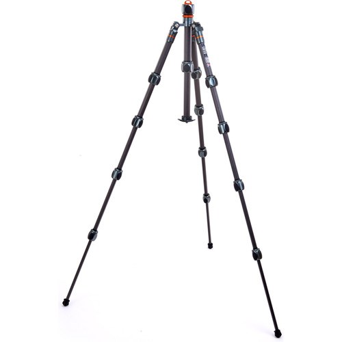 3leo2legs-5