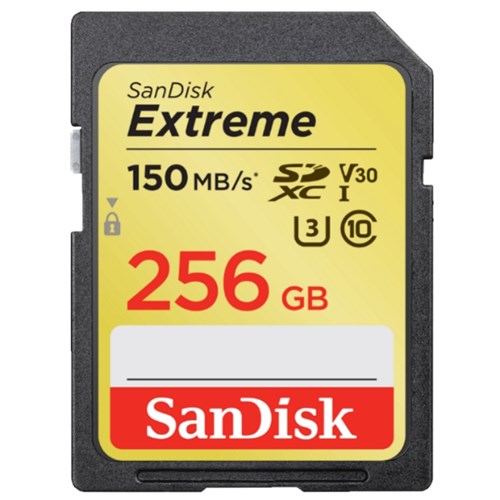 SDSDXV5-256G-G.tag.0