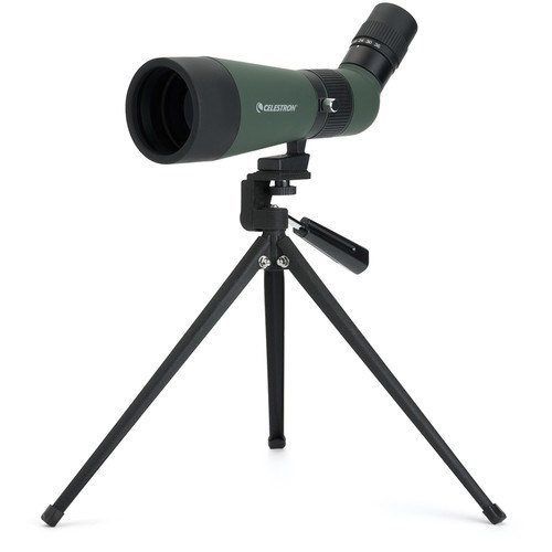 cel-12x36-2