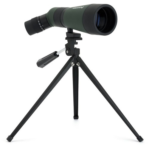 cel-12x36-4