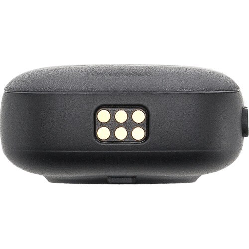 djimic3-trans-2
