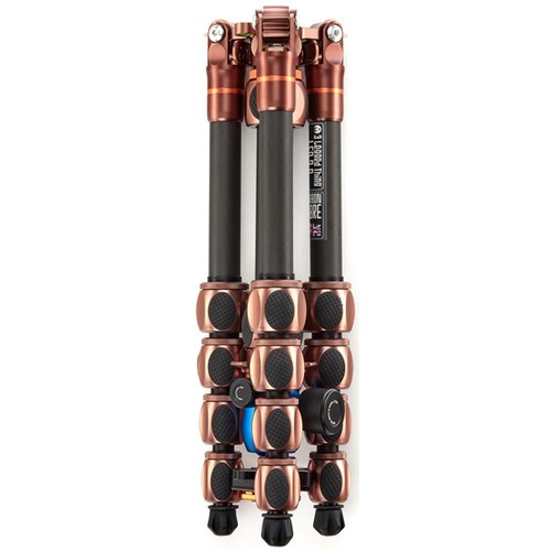 leo2bronzehead-7