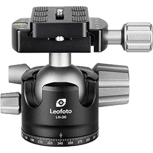 leolh36r-2