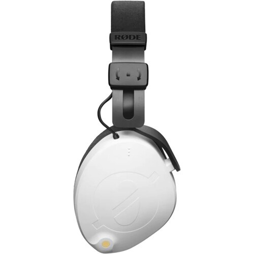 rodenth1001-2