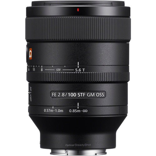 sony100mmmacro-2