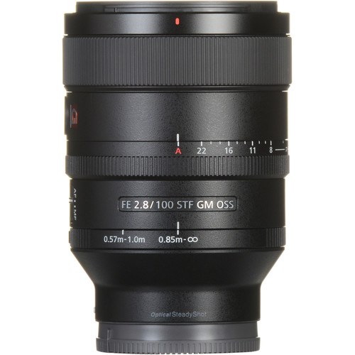 sony100mmmacro-4
