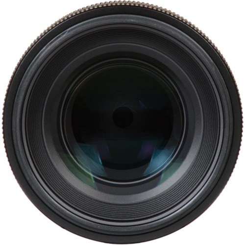 sony100mmmacro-6