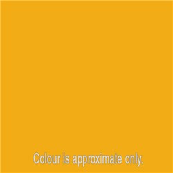 14_forsythia_yellow
