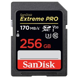 SDSDXXY-256G-GN.tag.0