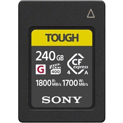 SONY240-X-1