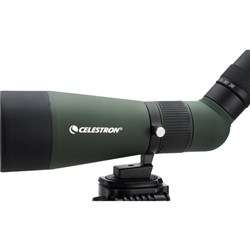 cel-12x36-5